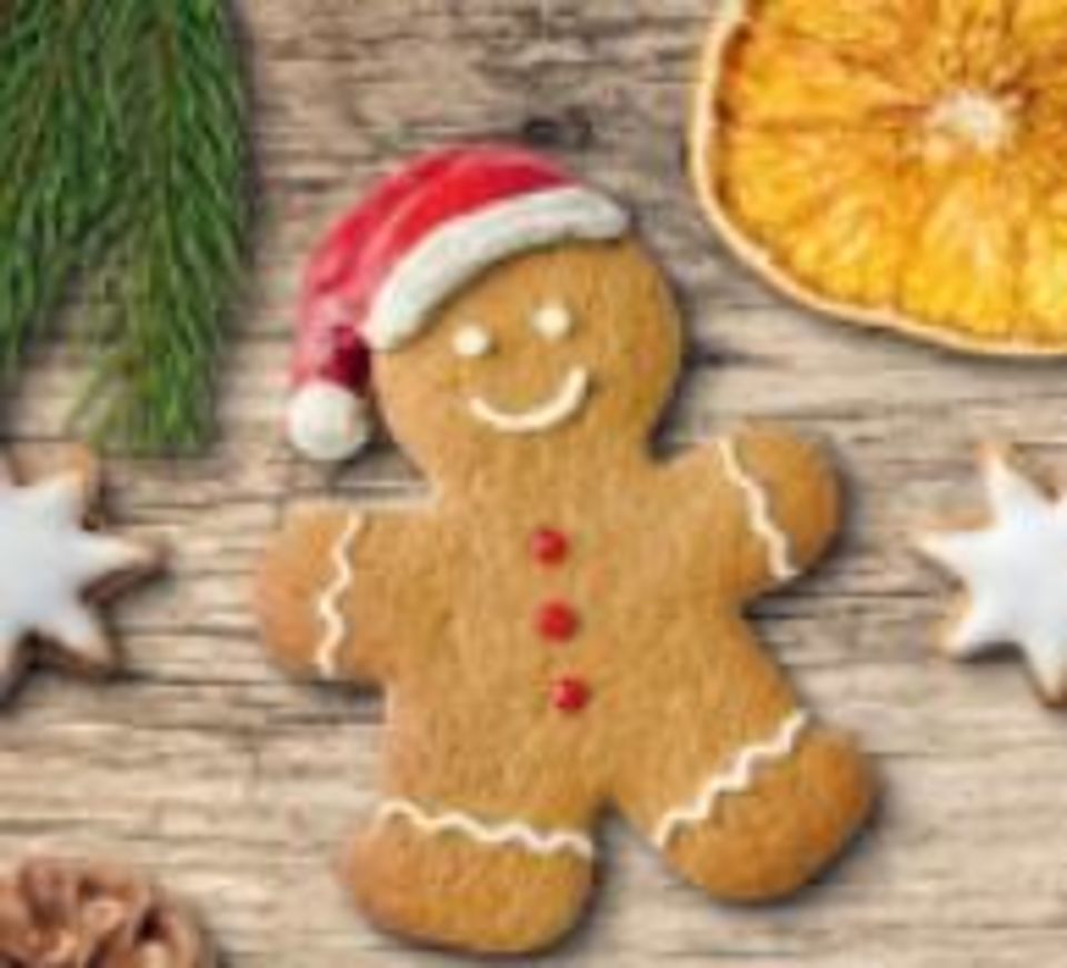 Weihnachtsnewsletter