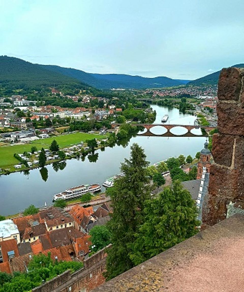 Aussicht auf den Main